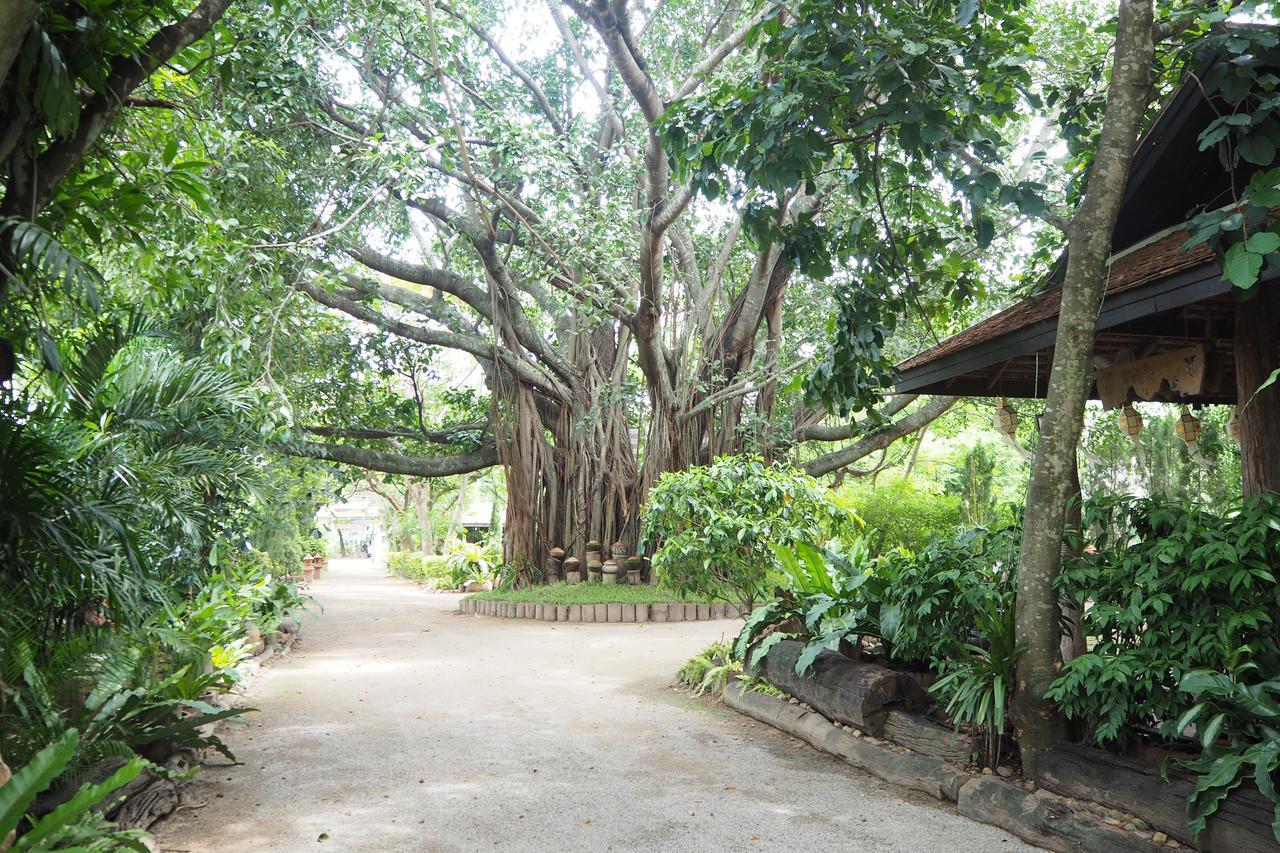 Mae Wang Khum Khun Wang Resort מראה חיצוני תמונה